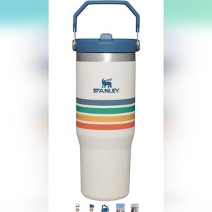 Stanley 30 oz variety ice flow cream stripe